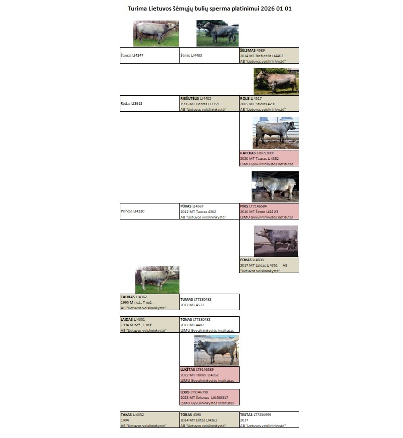 Platinama sperma Platinama sperma