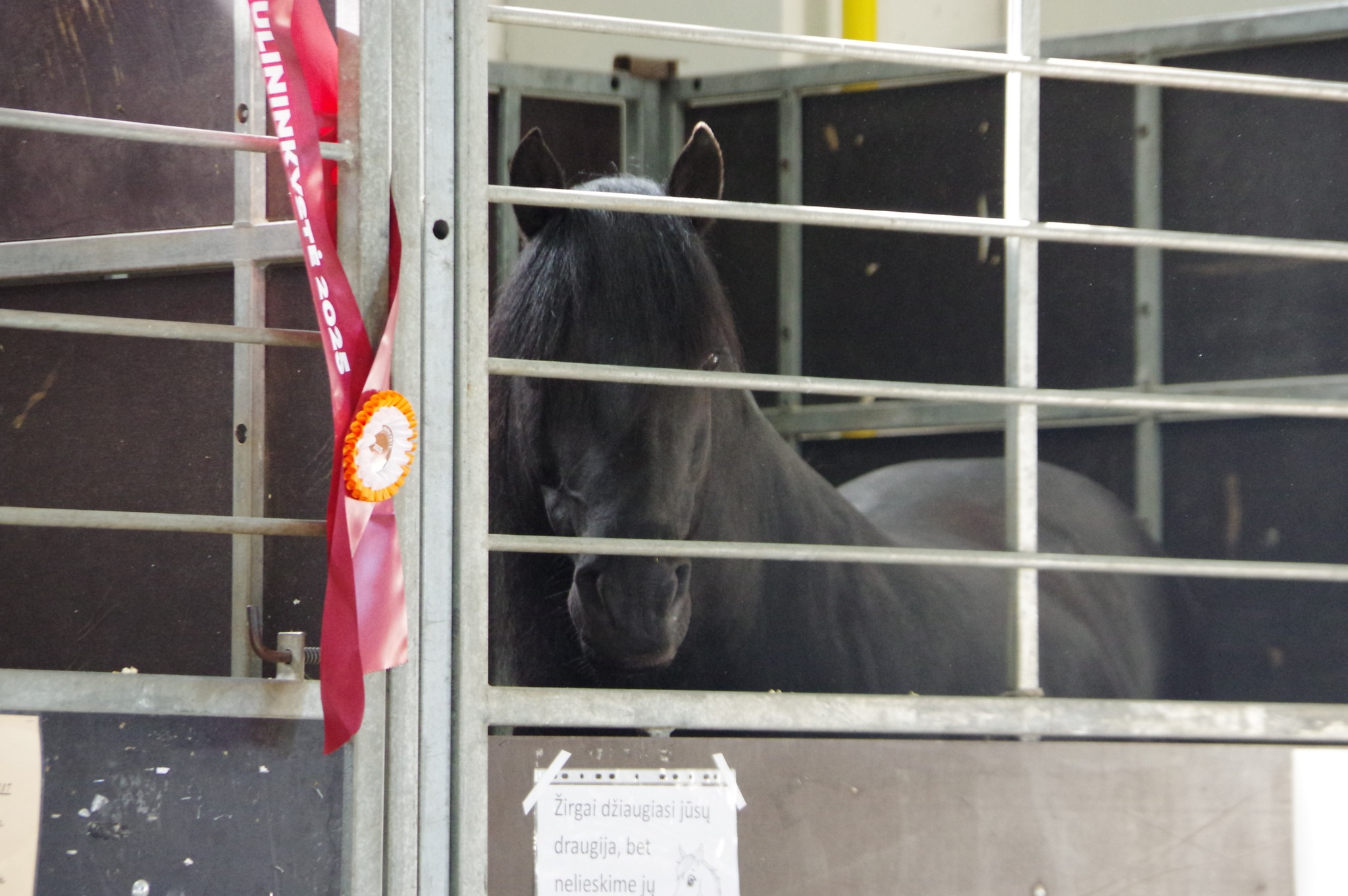 Parodos akimirkos Parodos akimirkos