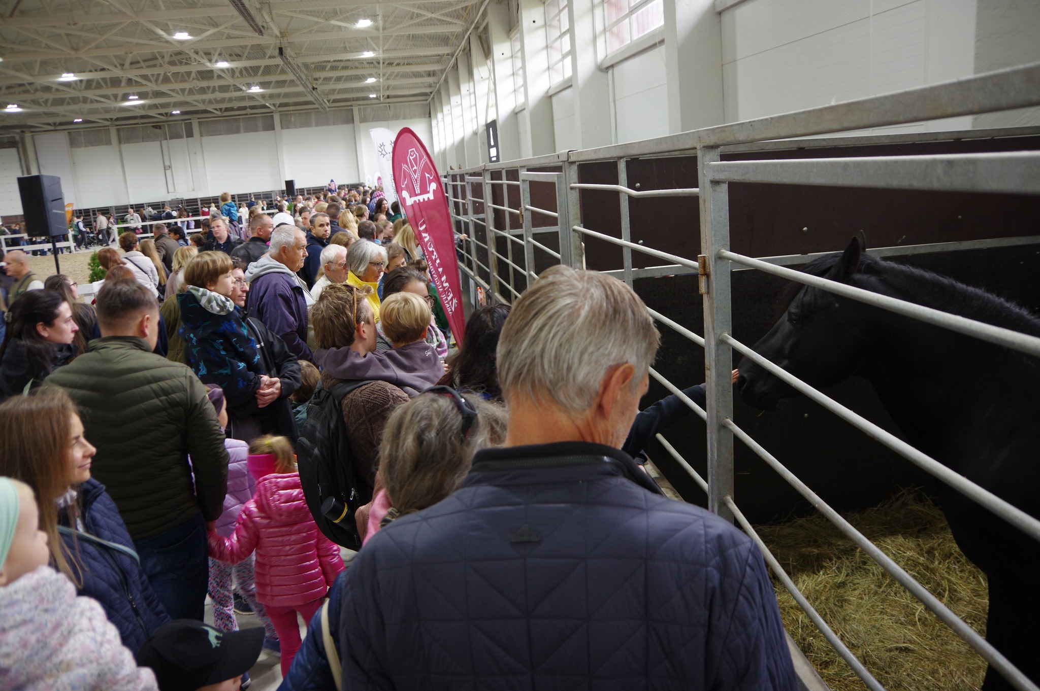 Parodos akimirkos Parodos akimirkos