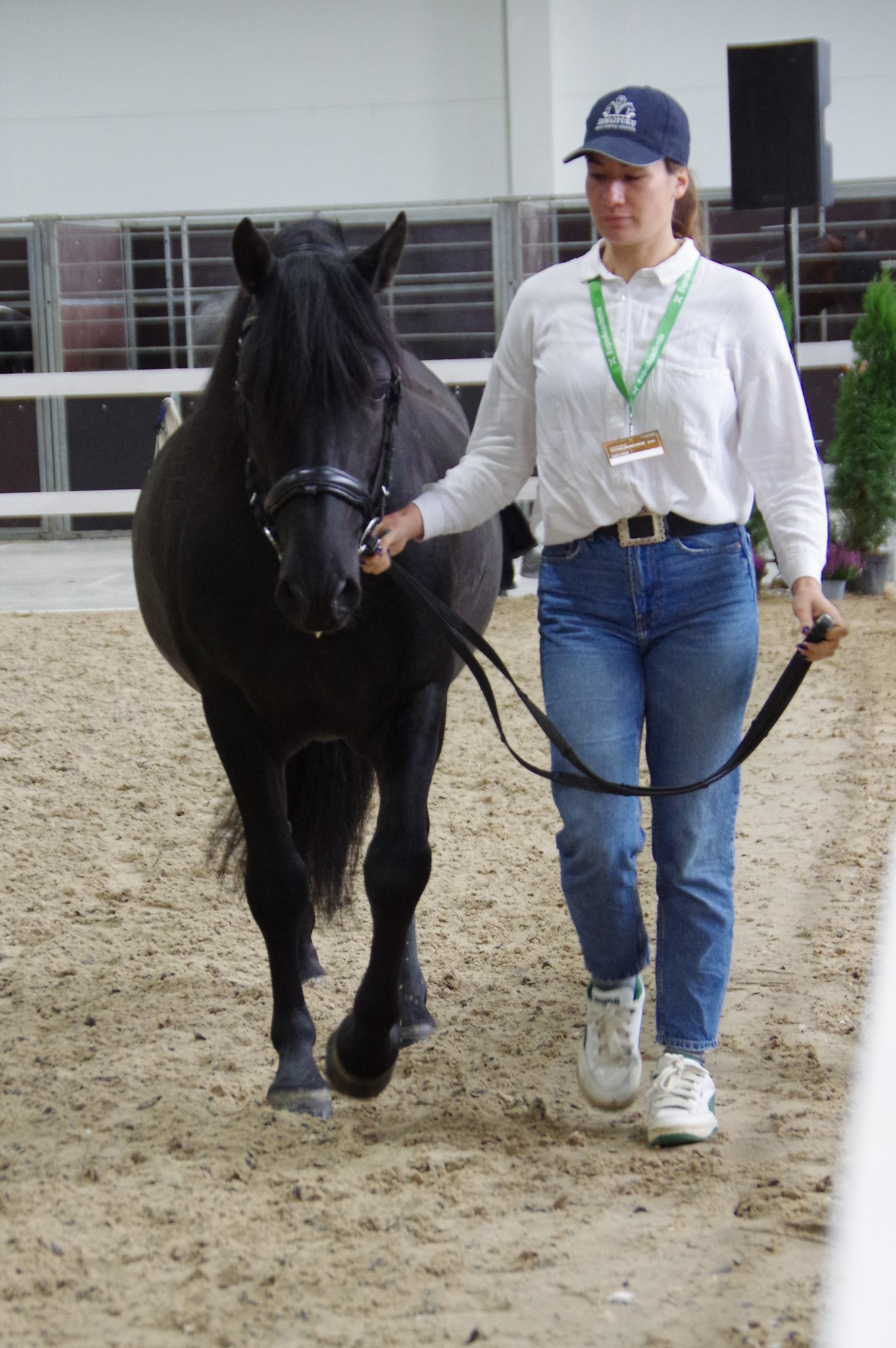 Parodos akimirkos Parodos akimirkos